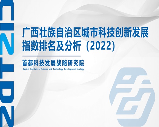 欧美老妇黄色电影【成果发布】广西壮族自治区城市科技创新发展指数排名及分析（2022）